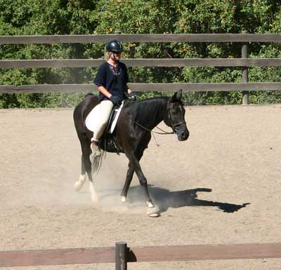 Horse Riding Lessons
